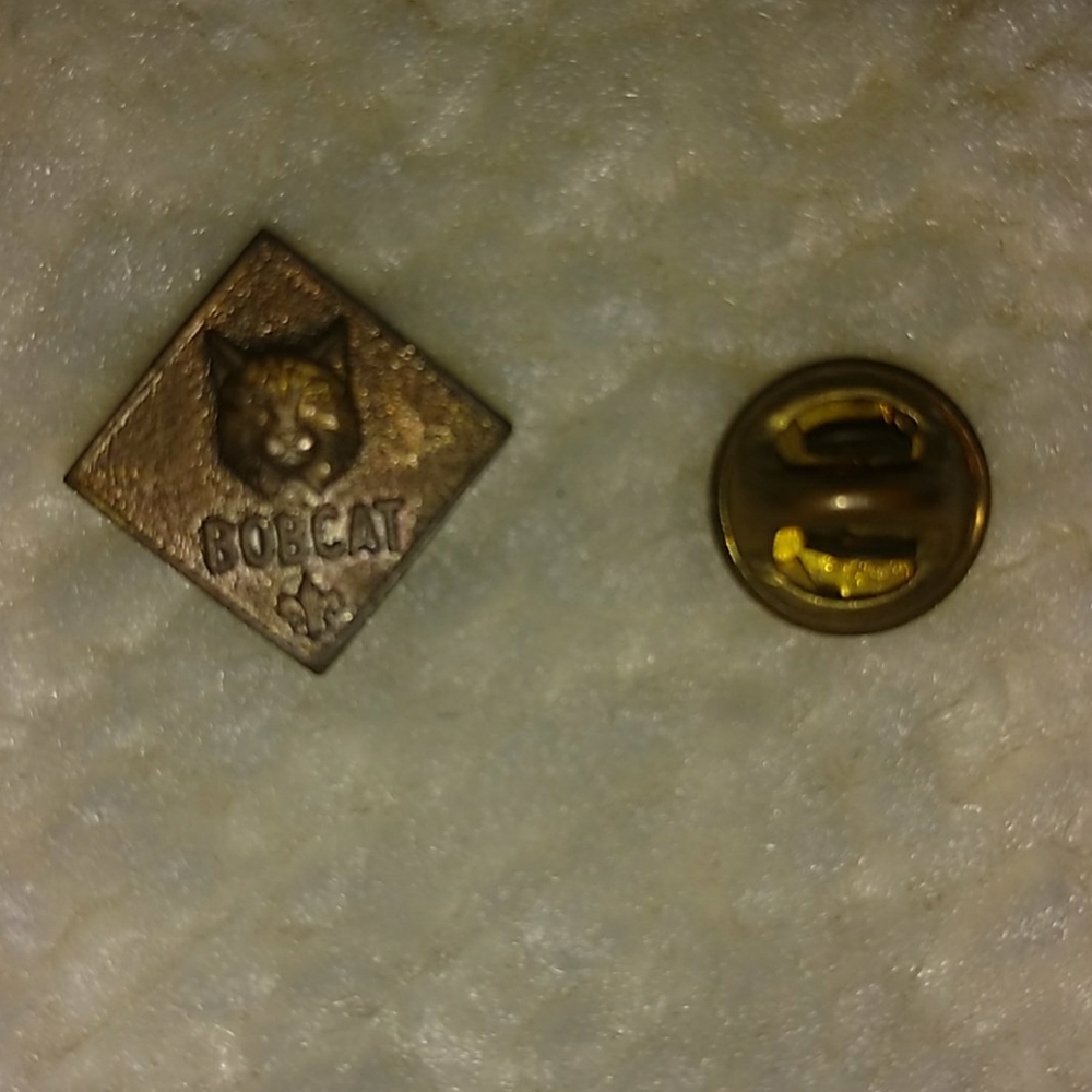 Boy scouts bobcat pin